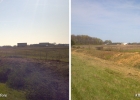 Before & After